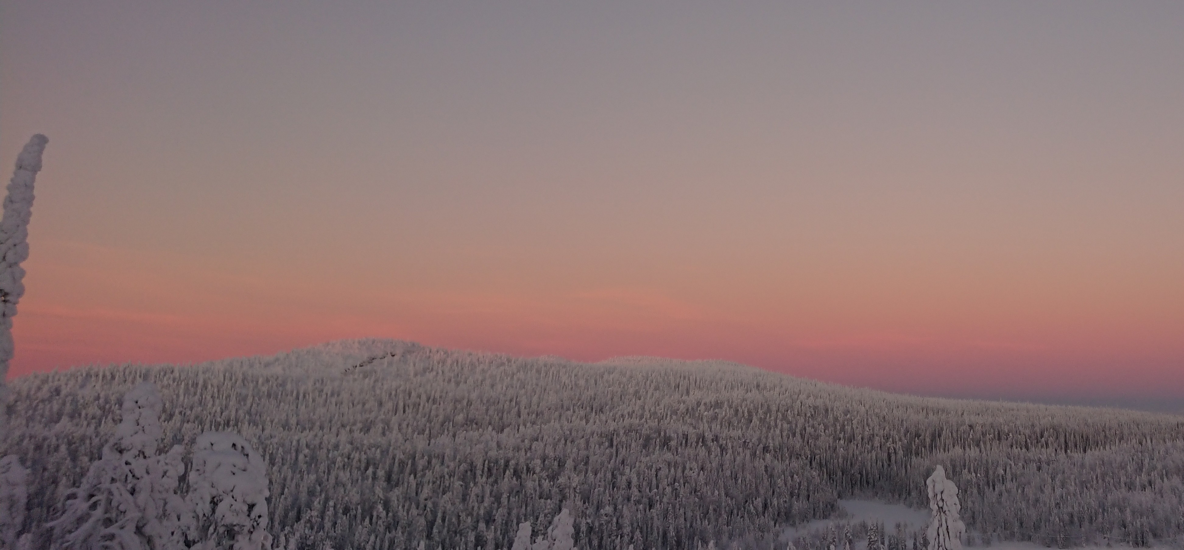 Ski tour in Ruka evening with OAC skinbased skis - Outdoor Passion